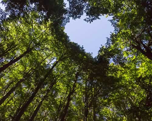 2025年全国婚姻修复机构十强排名，权威婚姻挽回指南